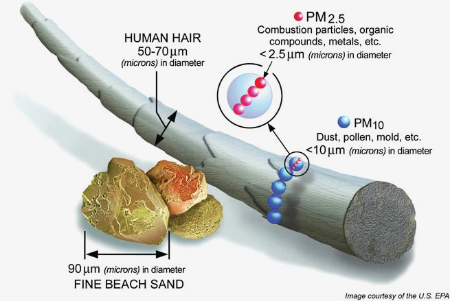 การเปรียบเทียบขนาดของฝุ่น PM 10 และ PM 2.5 ต่อขนาดเส้นผมมนุษย์และเม็ดทราย