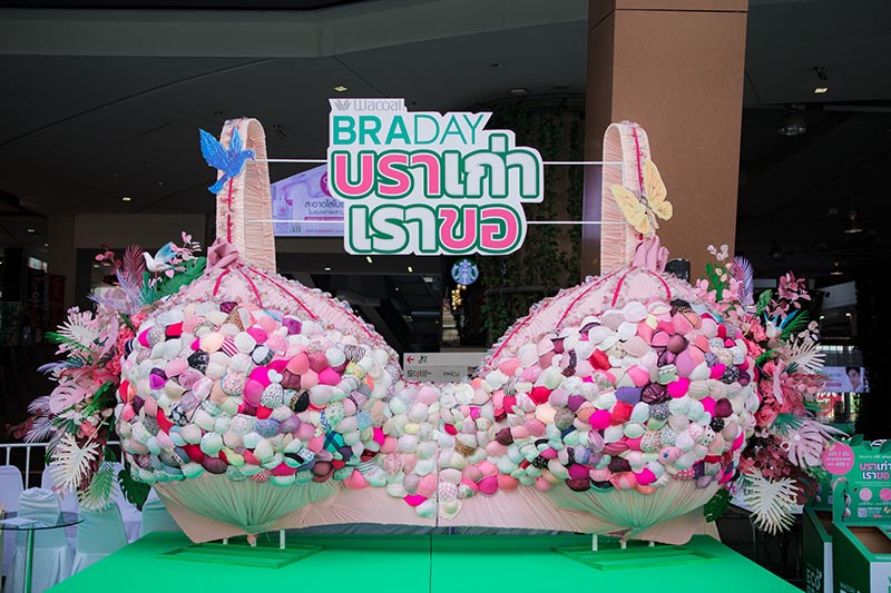 BRADAYวาโก้บราเดย์ บราเก่าเราขอ บราเก่าเราขอ