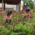 ตัวอย่างชุมชนบนพื้นที่สูงคาร์บอนต่ำ