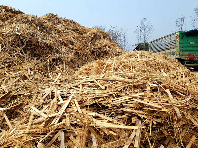 ชีวมวล (Biomass)