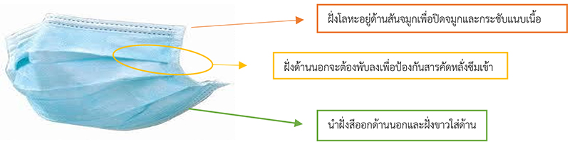 หลักการใส่หน้ากากอนามัยอย่างถูกวิธี