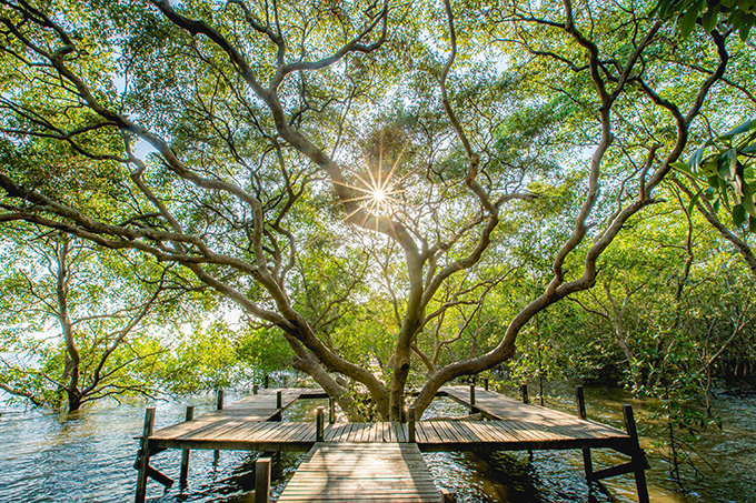 Dow เปิดตัวเป้าใหม่ ลดก๊าซเรือนกระจก หยุดขยะพลาสติก ขับเคลื่อนเศรษฐกิจหมุนเวียน ต่อยอดเป้าหมายความยั่งยืน