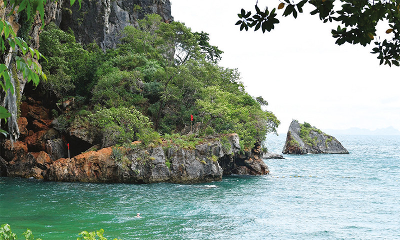 การจัดการทรัพยากรธรรมชาติ