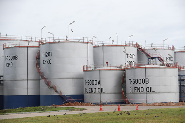 โครงการปาล์มคอมเพล็กซ์