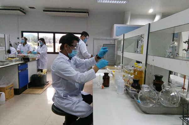 โครงการปาล์มคอมเพล็กซ์