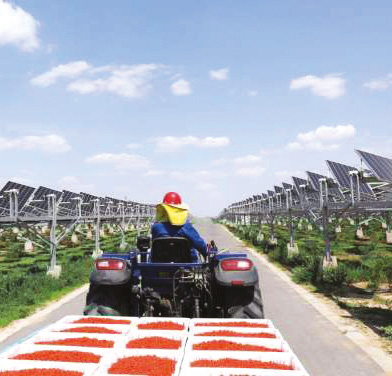 การนำเทคโนโลยีเข้ามาช่วย