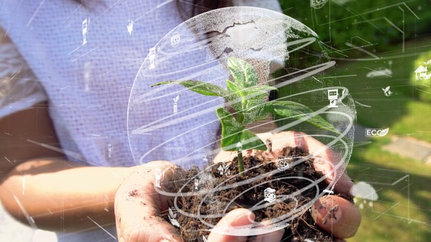 เพิ่มพื่นที่สีเขียว