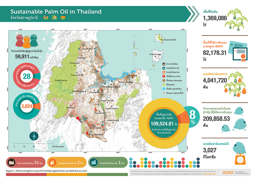 ต้นแบบเมืองปาล์มน้ำมันยั่งยืนของไทย