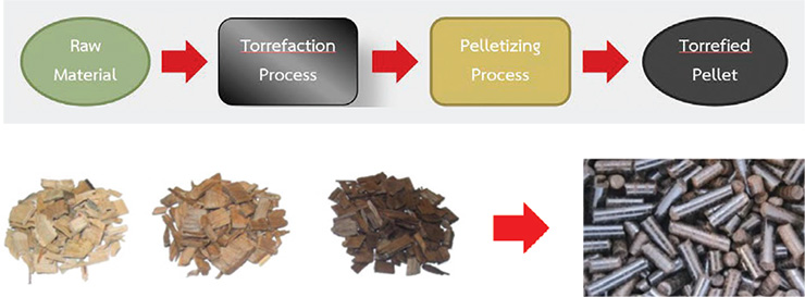 รูปแสดงการนำไม้สับ (Wood Chips) เข้าสู่กระบวนการ Torrefaction Process