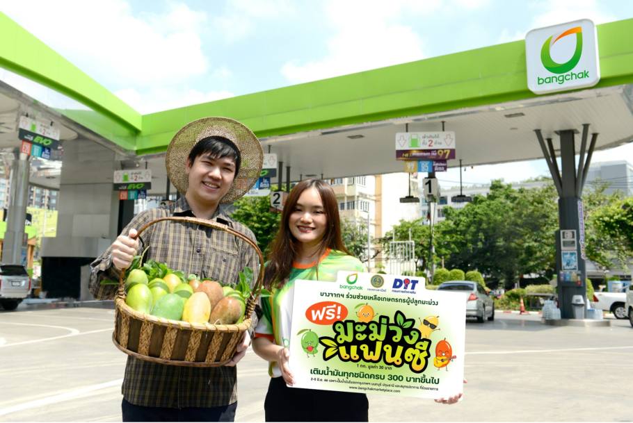 บางจากแจกมะม่วง