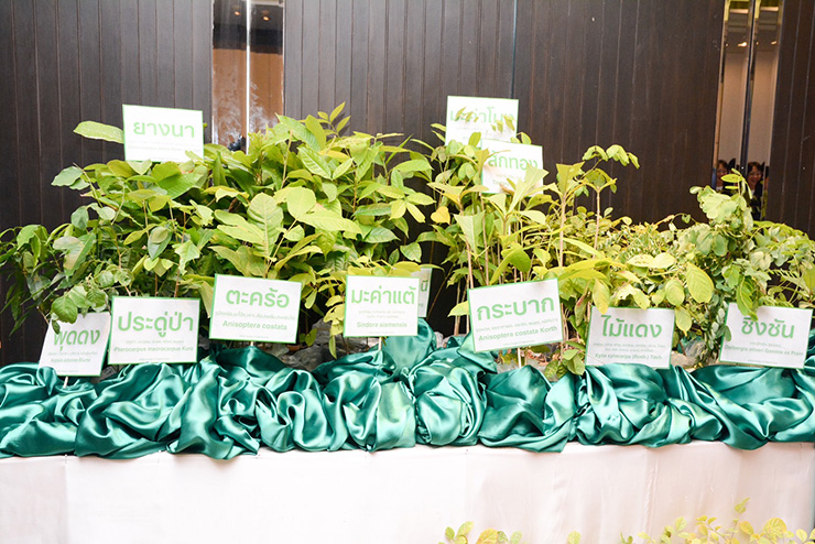 โครงการ “ปลูกป่า ปลูกอนาคต” สร้าง “Green Living” ปีที่ 3