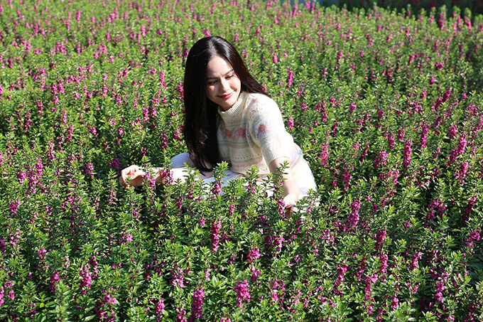 เทศกาลชมสวน 2566