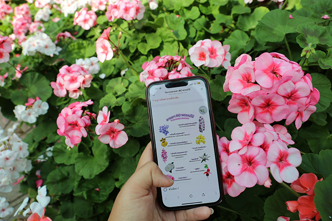 เทศกาลชมสวน 2566