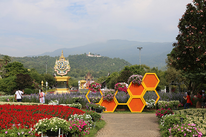 เทศกาลชมสวน 2566