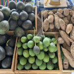 เทศกาลชมสวน 2566