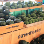 เทศกาลชมสวน 2566