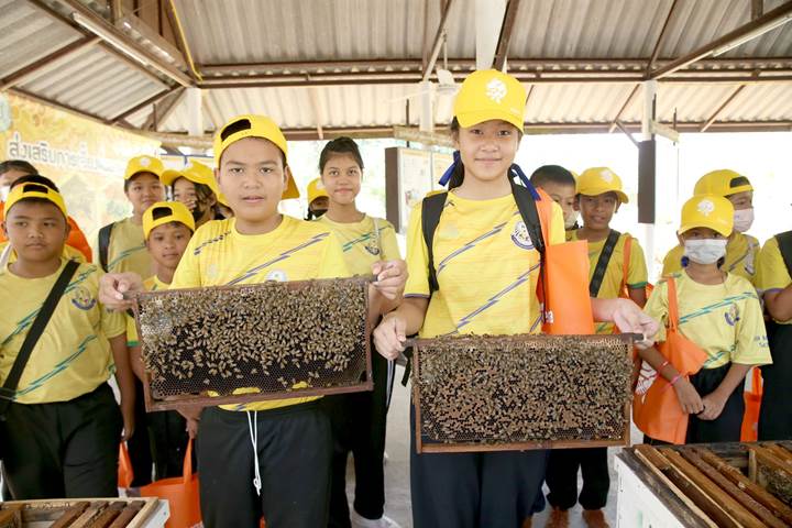 โครงการรักษ์ผึ้ง
