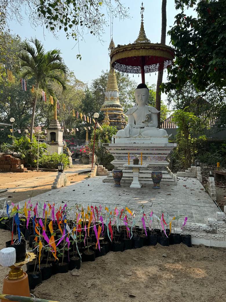 สังฆทานต้นไม้ที่วัดศรีรองเมือง จ.ลำปาง