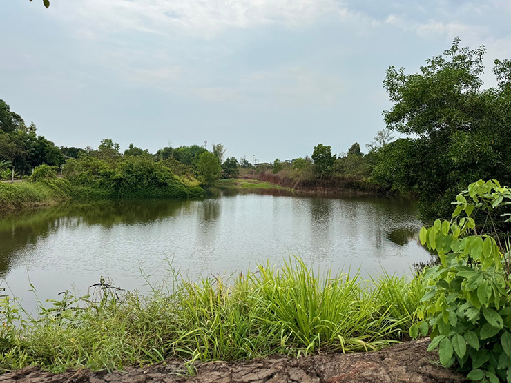 ธรรมชาติทรายแก้ว