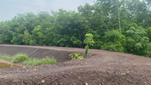 ธรรมชาติทรายแก้ว