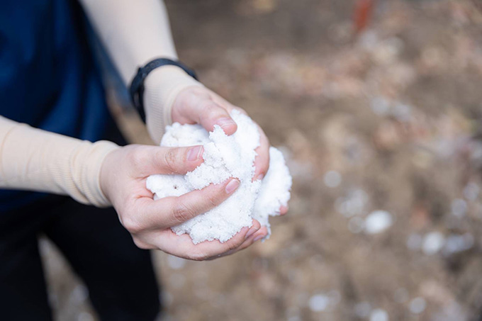 กรุงไทยสร้างโป่งเทียมอนุรักษ์ช้าง เนื่องในวันช้างไทย