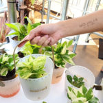 แอสเซทไวส์ ชวนคนรุ่นใหม่รักษ์โลกแบบคูล ๆ ในงาน SangSom MOONLAB