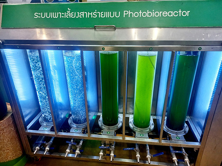 วว. โชว์นิทรรศการ “นวัตกรรมขับเคลื่อนสังคมคาร์บอนต่ำ” งานวิจัยขายได้ @ มหกรรมงานวิจัยแห่งชาติ 2567