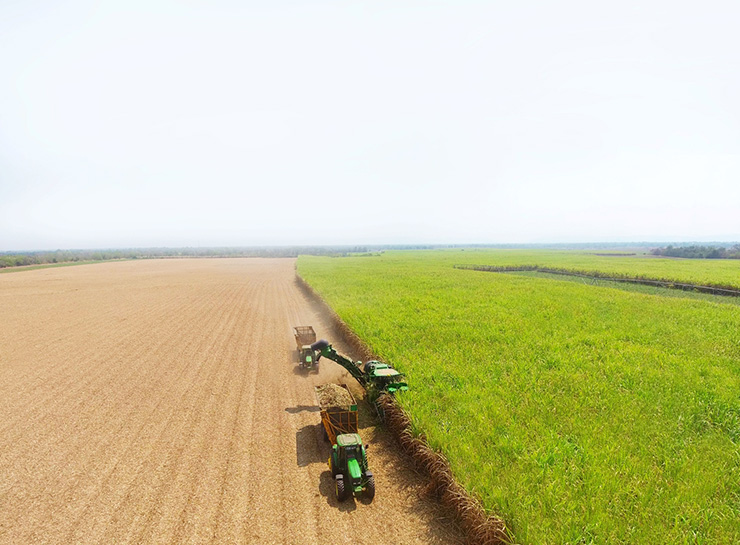 มิตรผล โมเดิร์นฟาร์ม