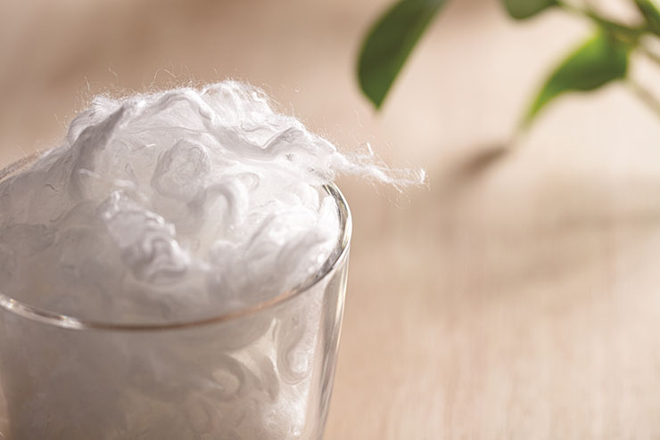 วีโอเซล™ ไลโอเซลล์