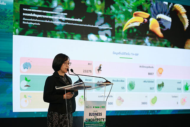 นางภัทรินทร์ ทองสิมา