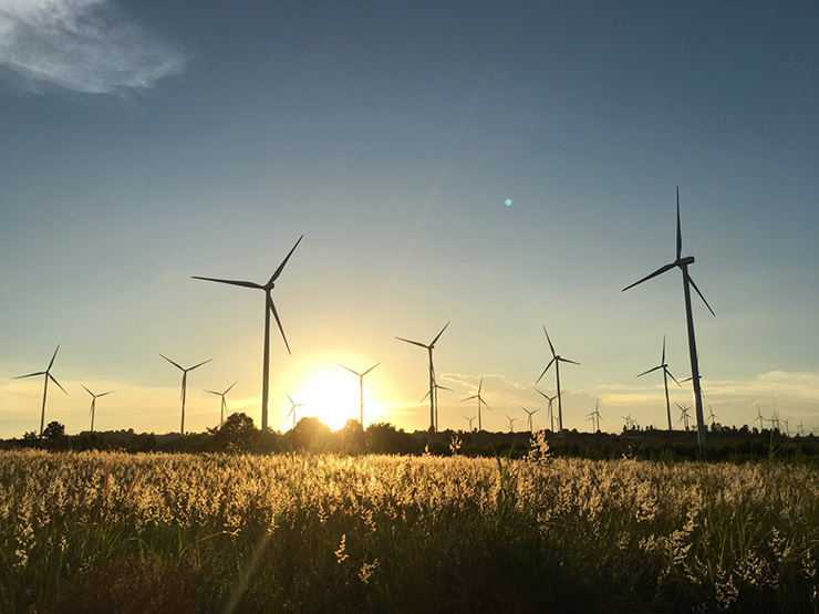 โรงไฟฟ้าพลังงานสีเขียว