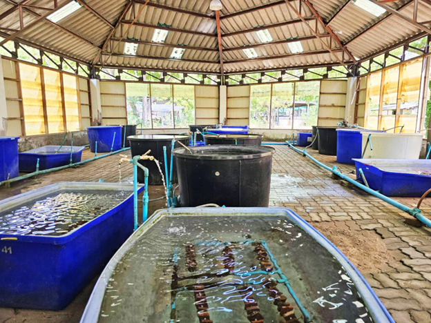 โรงเรือนเพาะเลี้ยงปะการัง