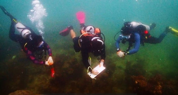 นักวิจัยปะการัง