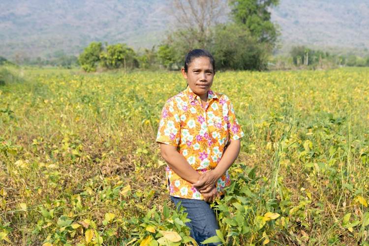 บัวโฮม สาริพันธ์