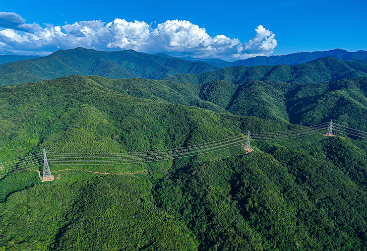 โรงไฟฟ้าพลังงานหมุนเวียน