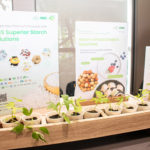 Global Cassava Sustainability Forum 2025