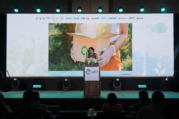 ลิกกี้-ลี พิทเซน