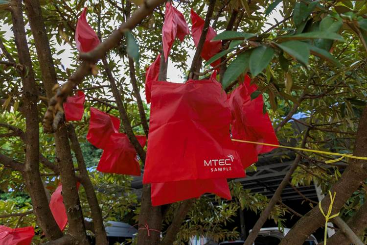 ถุงแดง Magik Growth