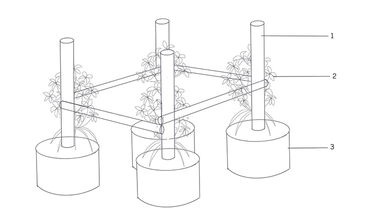 บ้านปลา