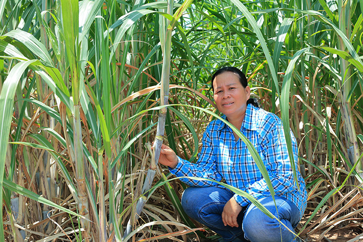 บุษกร ขันแข็ง