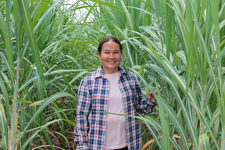 สุภาพ จันทร์ที