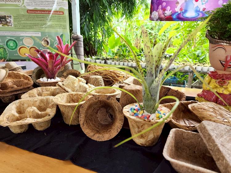 ภาชนะรักษ์โลก