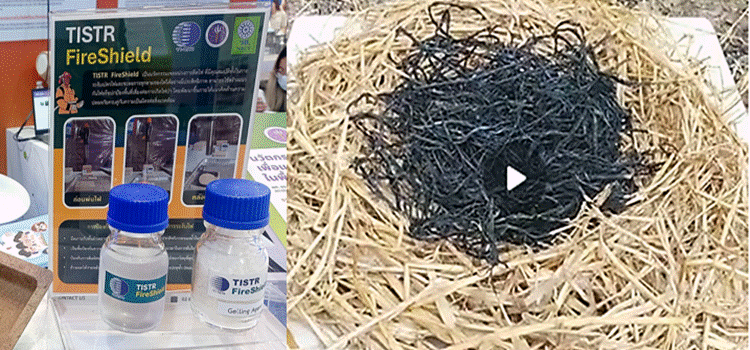 การพัฒนาผลิตภัณฑ์นวัตกรรมเจลหน่วงการติดไฟ