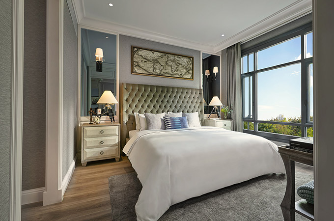 ดิ แอสเพน ทรี เดอะ ฟอเรสเทียส์