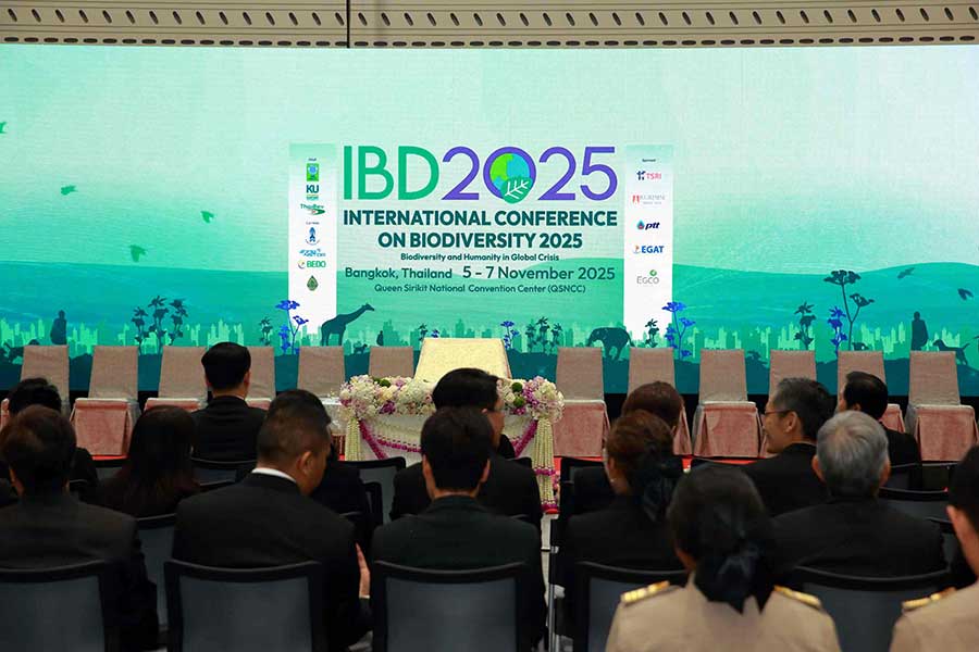 IBD 2025