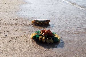 ขยะกระทง