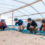 กาแฟเปลี่ยนชีวิต: OR จับมือ ปางขอน–ผาลั้ง ปั้นต้นแบบกาแฟยั่งยืนของไทย