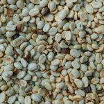 กาแฟเปลี่ยนชีวิต: OR จับมือ ปางขอน–ผาลั้ง ปั้นต้นแบบกาแฟยั่งยืนของไทย