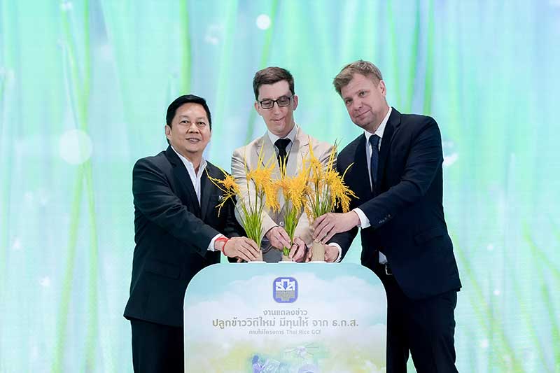 โครงการ Thai Rice GCF