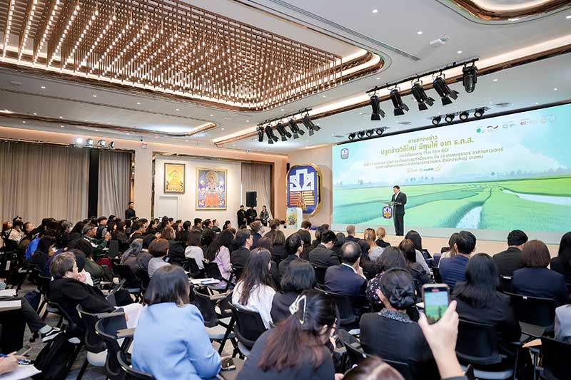 โครงการ Thai Rice GCF